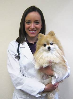 veterinarian, Lakeview Chicago