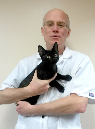 vet in chicago
